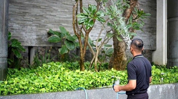 Desain halaman rumah mewah