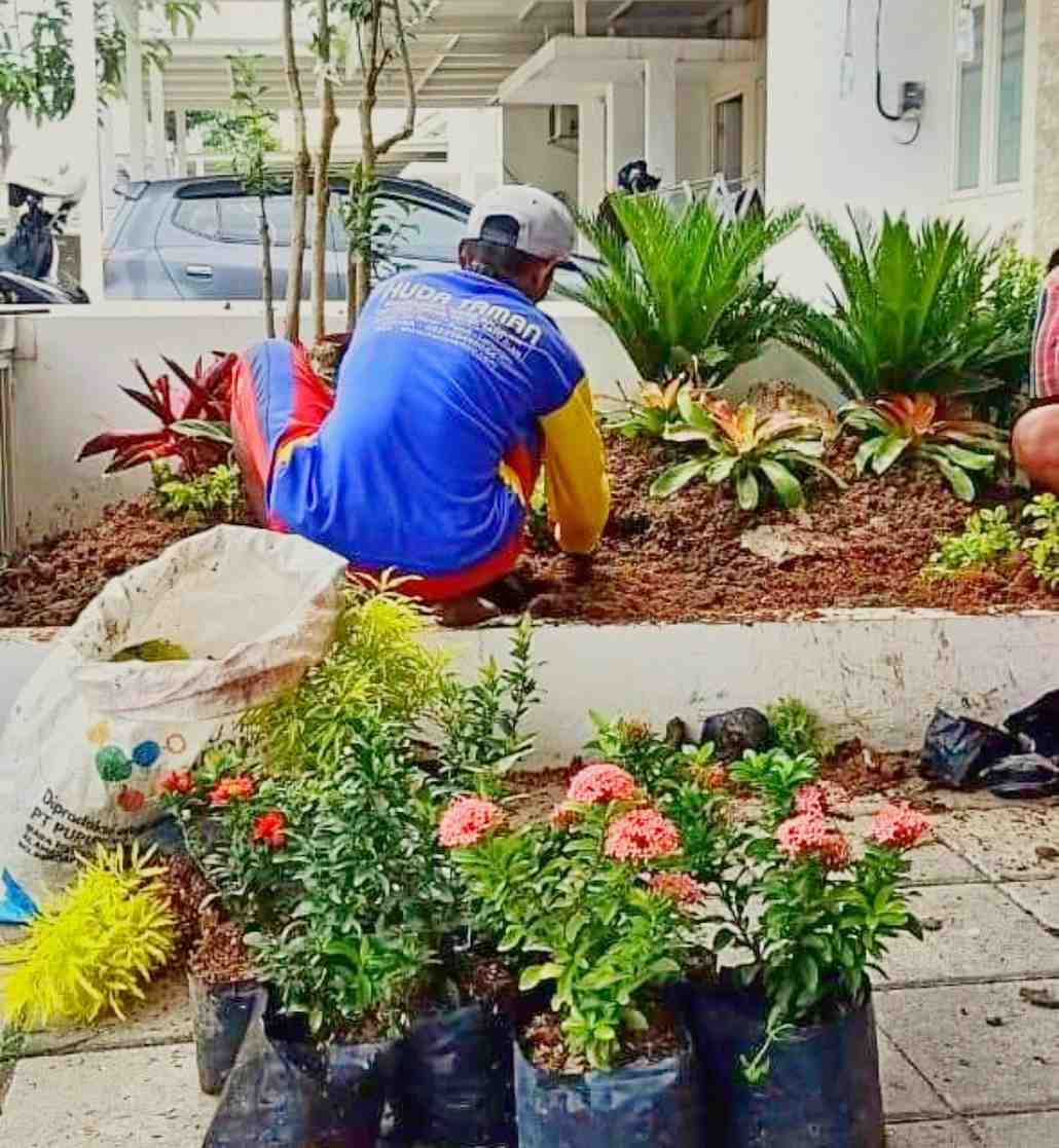 Desain halaman rumah mewah