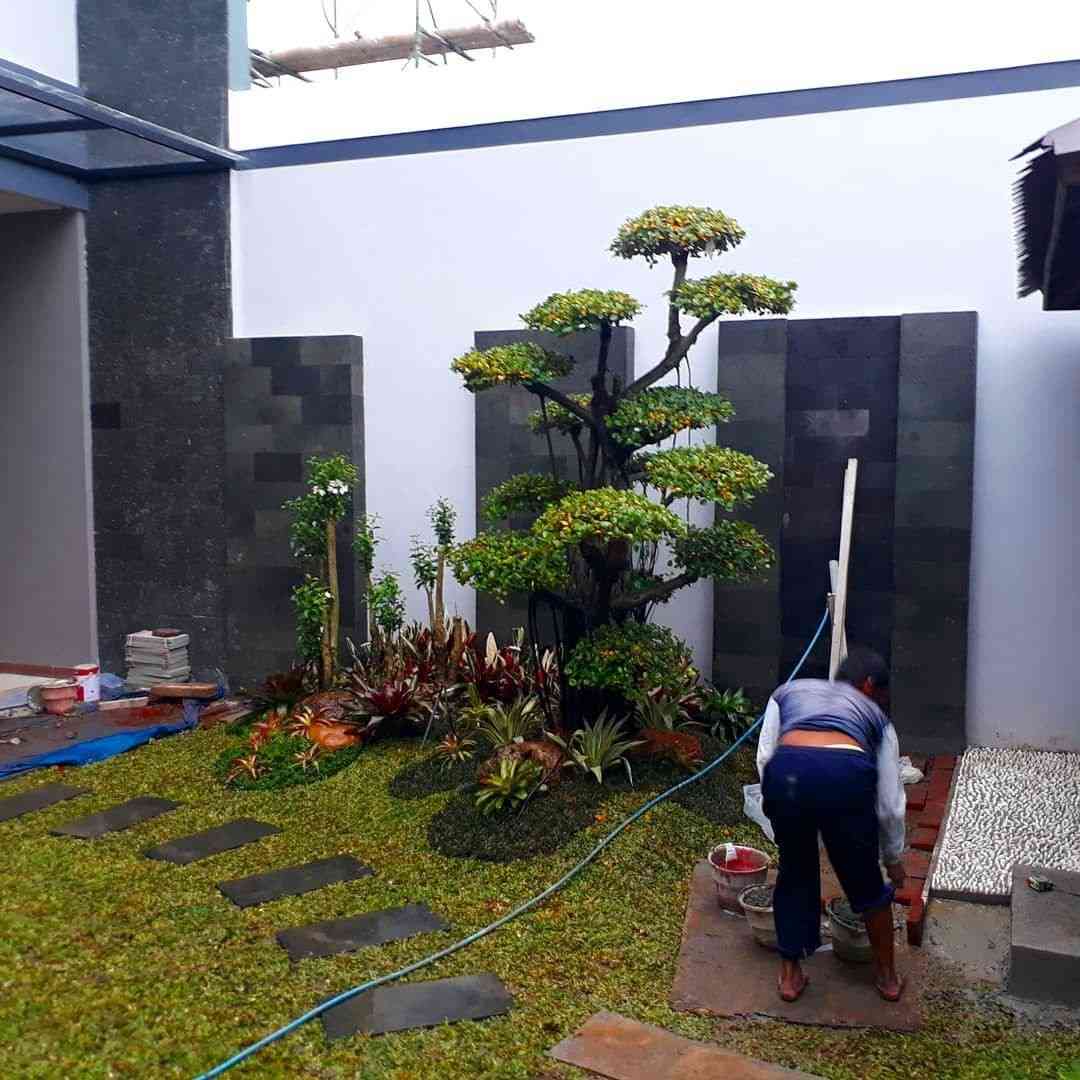 perawatan taman 6