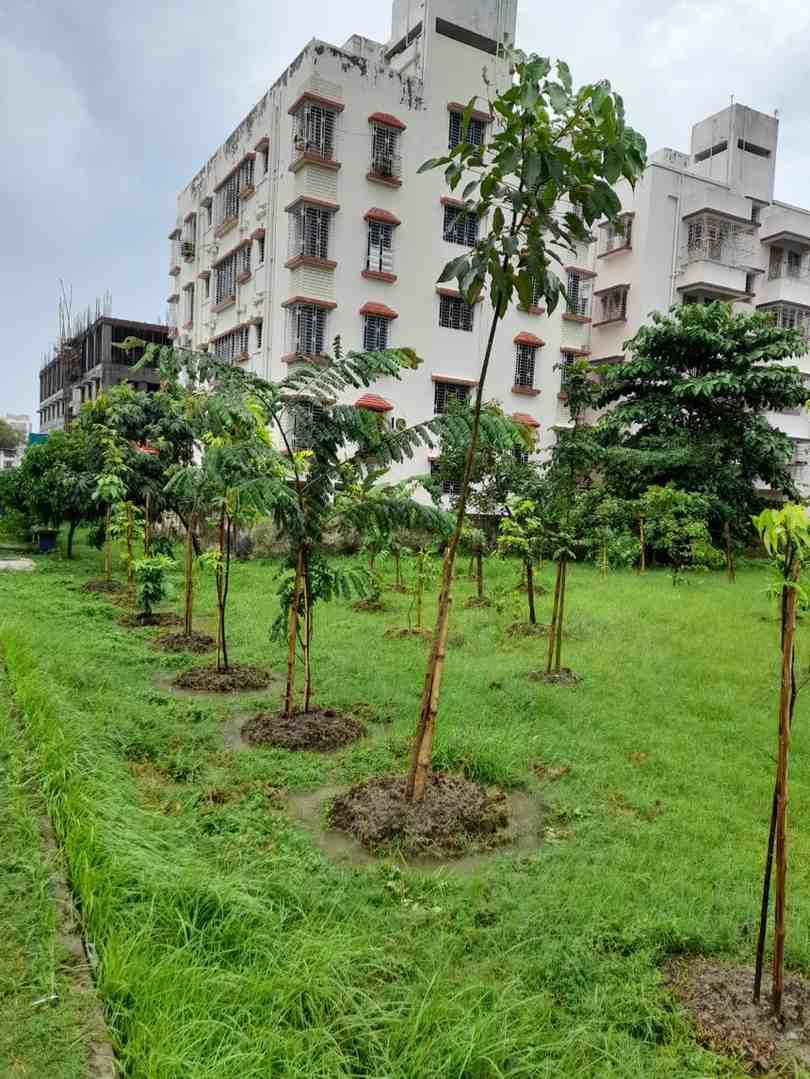 Proses penanaman pohon untuk jasa penghijauan lahan